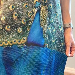 Peacock dress 2